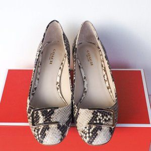 COACH | Leather snake print buckle pump